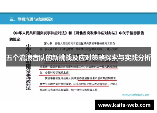 五个流浪者队的新挑战及应对策略探索与实践分析