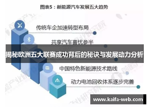 揭秘欧洲五大联赛成功背后的秘诀与发展动力分析